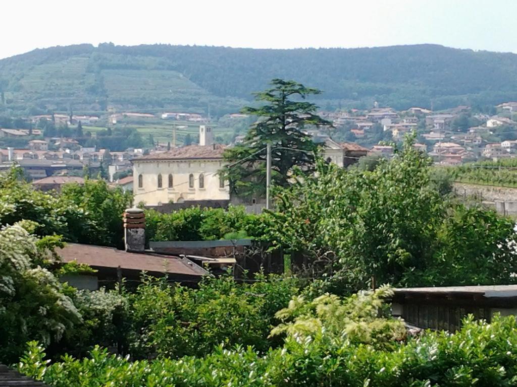 Agriturismo Corte Galvani Negrar Ngoại thất bức ảnh