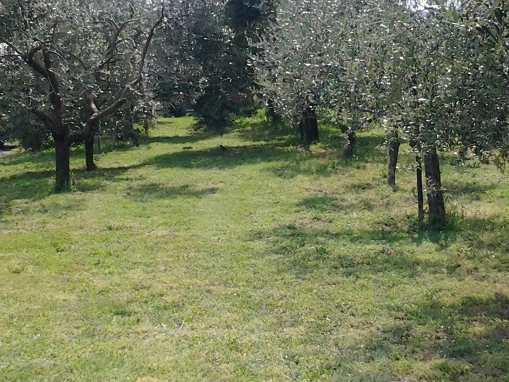 Agriturismo Corte Galvani Negrar Ngoại thất bức ảnh